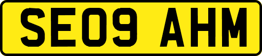 SE09AHM