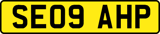 SE09AHP