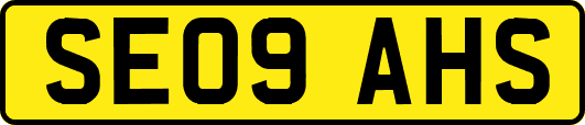 SE09AHS