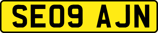 SE09AJN