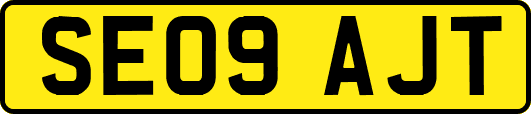 SE09AJT