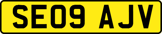 SE09AJV