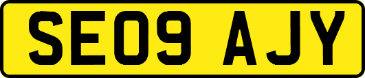 SE09AJY