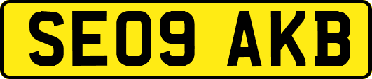 SE09AKB