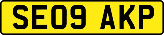SE09AKP