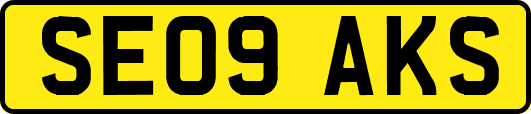 SE09AKS