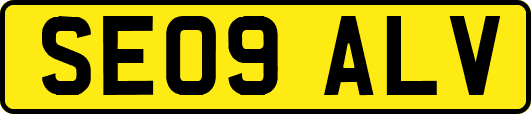 SE09ALV