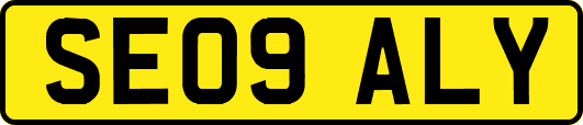 SE09ALY