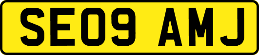 SE09AMJ