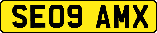 SE09AMX