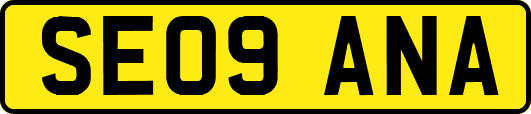SE09ANA