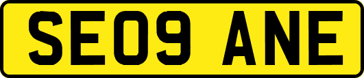 SE09ANE