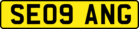 SE09ANG