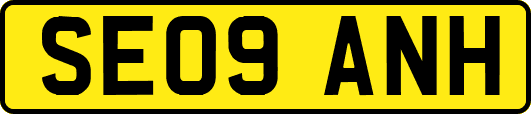 SE09ANH