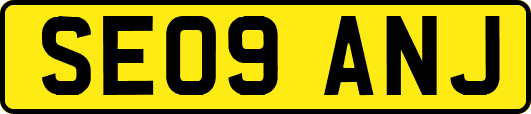 SE09ANJ