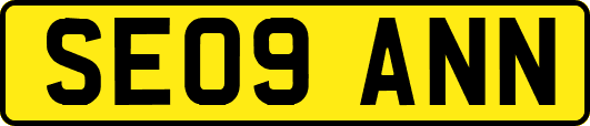 SE09ANN