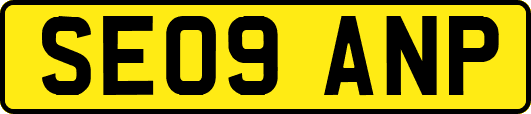 SE09ANP