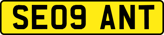 SE09ANT