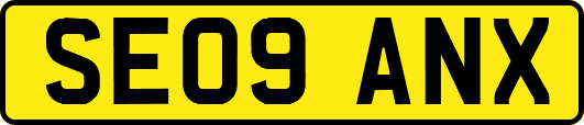 SE09ANX