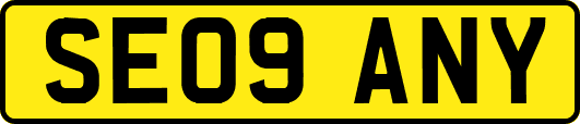 SE09ANY