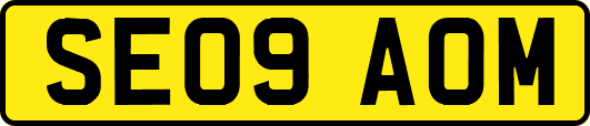 SE09AOM