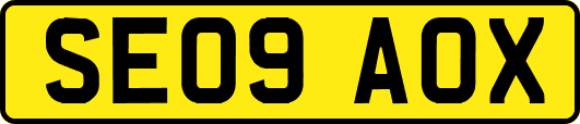 SE09AOX