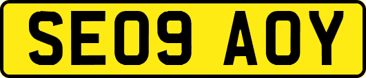 SE09AOY