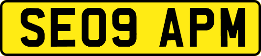SE09APM