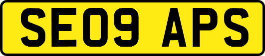 SE09APS
