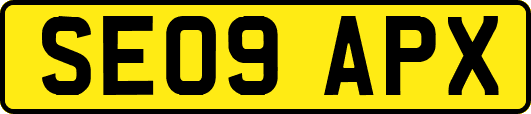 SE09APX
