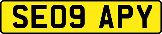 SE09APY