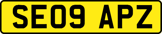 SE09APZ