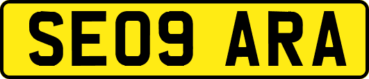 SE09ARA