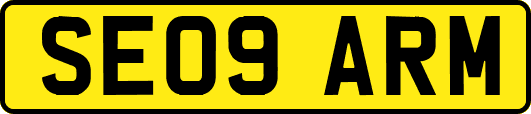 SE09ARM