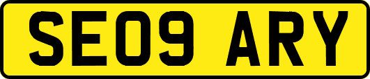 SE09ARY