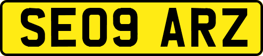SE09ARZ