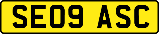 SE09ASC