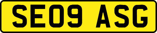 SE09ASG