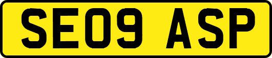 SE09ASP