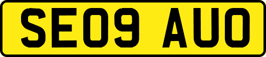 SE09AUO