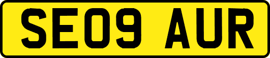 SE09AUR