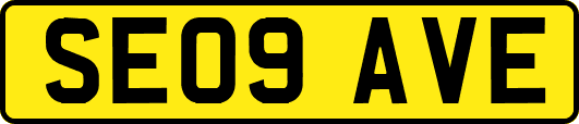 SE09AVE
