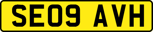 SE09AVH