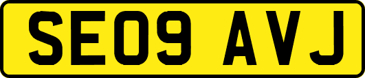 SE09AVJ