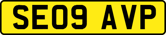 SE09AVP