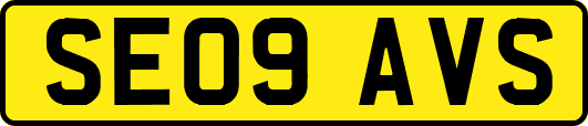 SE09AVS