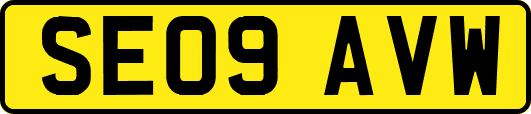 SE09AVW