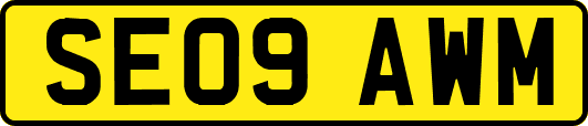 SE09AWM