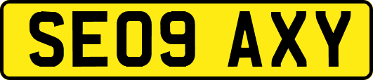 SE09AXY