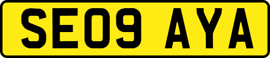 SE09AYA